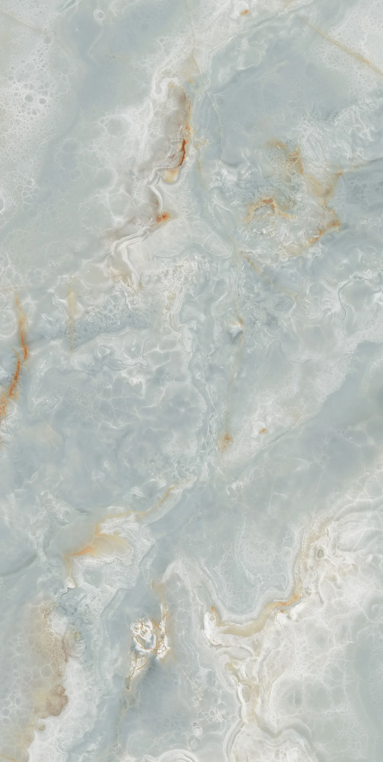 Florida Turkuaz — Banyodurağı